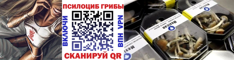 Псилоцибиновые грибы MAGIC MUSHROOMS  Купить где  Дегтярск 