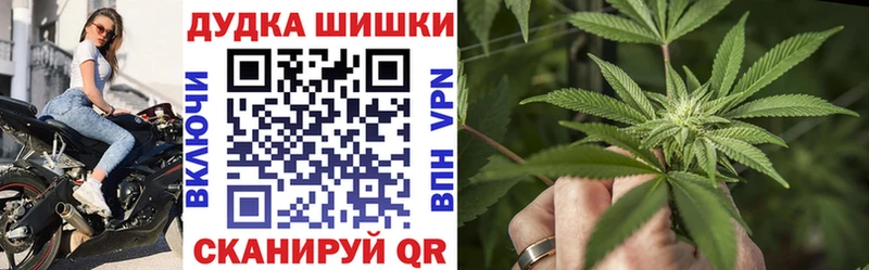 Бошки марихуана сатива Купить Дегтярск